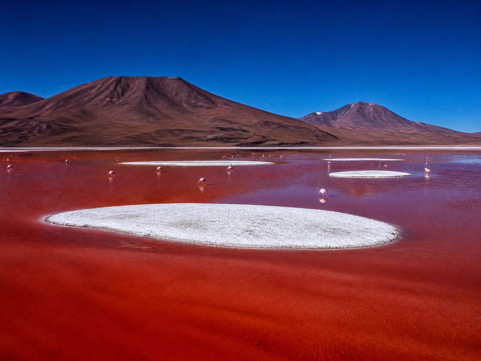 Laguna Colorada